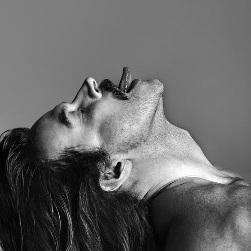 Fischerspooner Profile