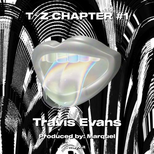 TZ CHAPTER #1