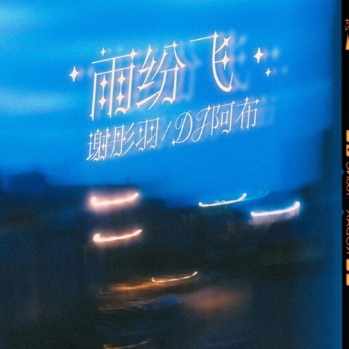 雨纷飞 (分飞dj阿布版)