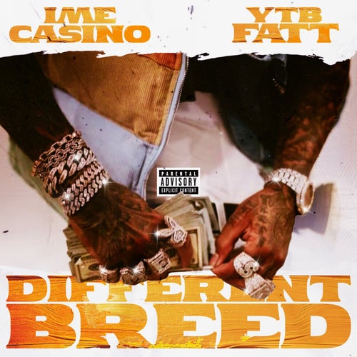 Different Breed (feat. YTB Fatt)