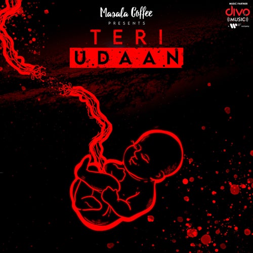 Teri Udaan