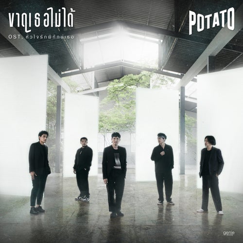 ขาดเธอไม่ได้ (เพลงประกอบละคร "หัวใจรักพิทักษ์เธอ")