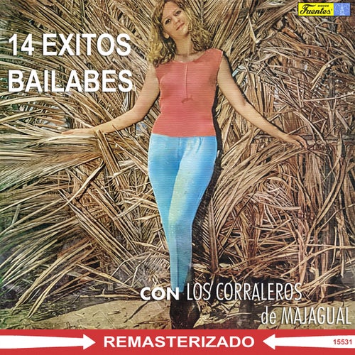 14 Exitos Bailables