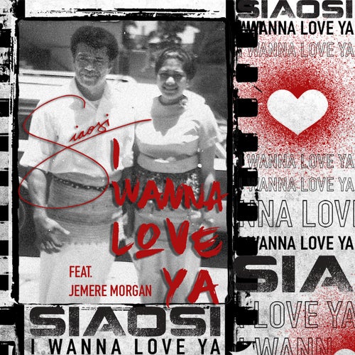 I Wanna Love Ya  (feat. Jemere Morgan)