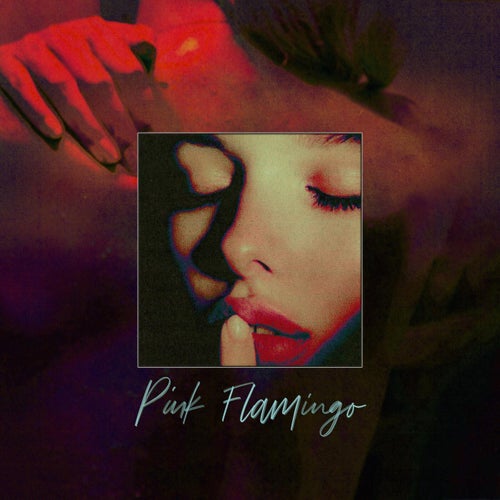 Pink Flamingo