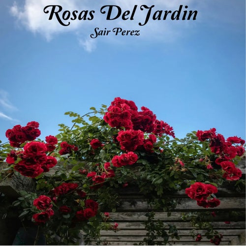 Rosas Del Jardin