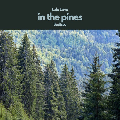 in the pines (feat. Bedisco)