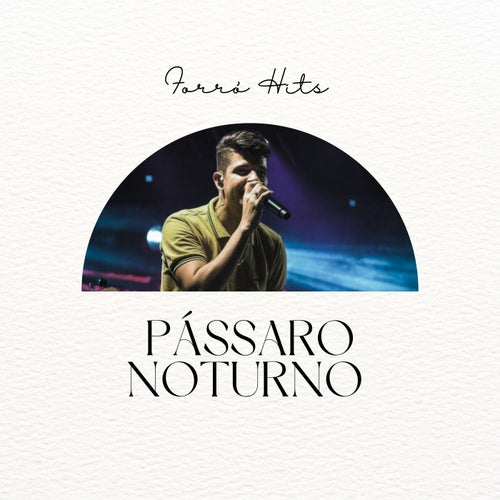 Pássaro Noturno