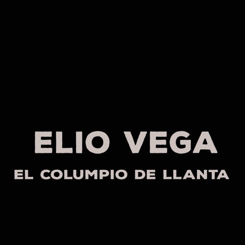 El Columpio De Llanta