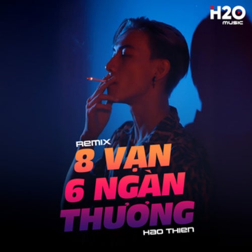 8 Vạn 6 Ngàn Thương (Remix)