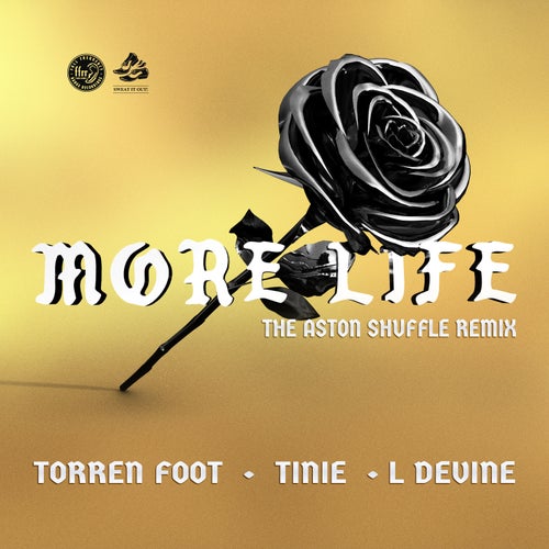 More Life (feat. Tinie Tempah & L Devine) [The Aston Shuffle Remix]