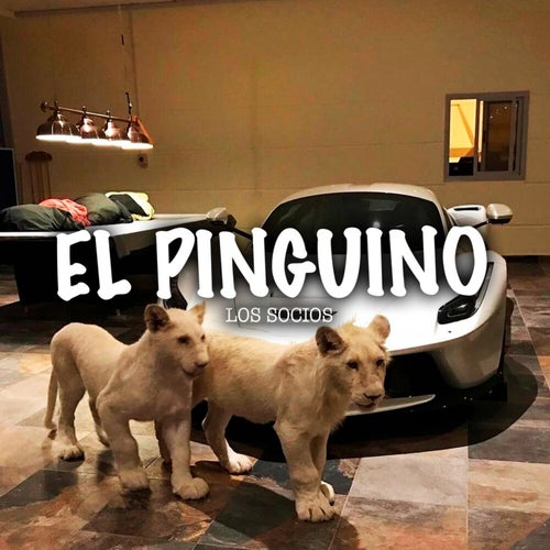 El Pinguino