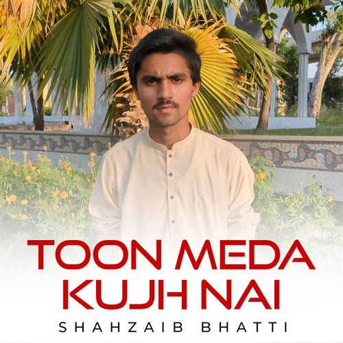 Toon Meda Kujh Nai