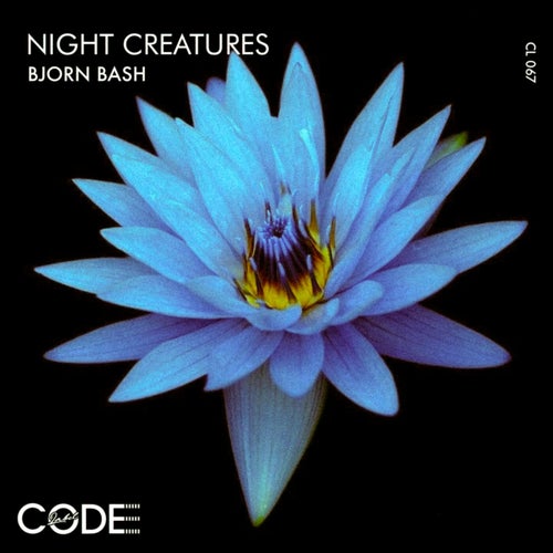 Night Creatures