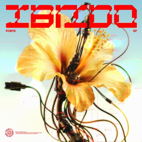 Ibrido