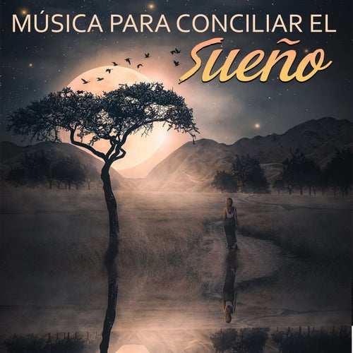 Música Para Conciliar El Sueño by Musica Para Dormir on Beatsource