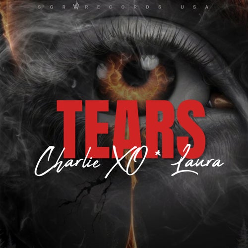 Tears (feat. Laura)