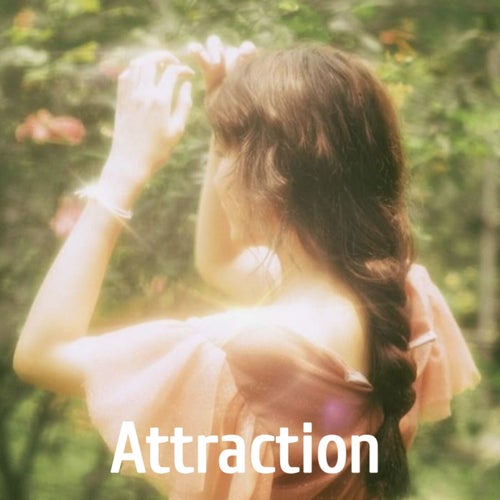 Attraction