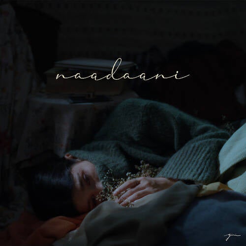 Naadaani