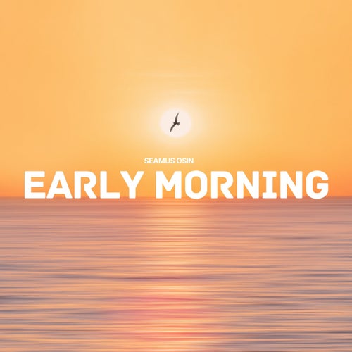 Early morning