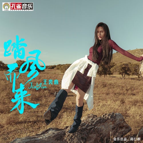 踏風而來