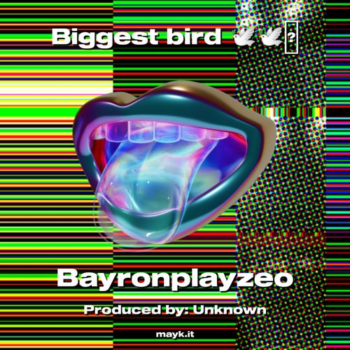 Biggest bird