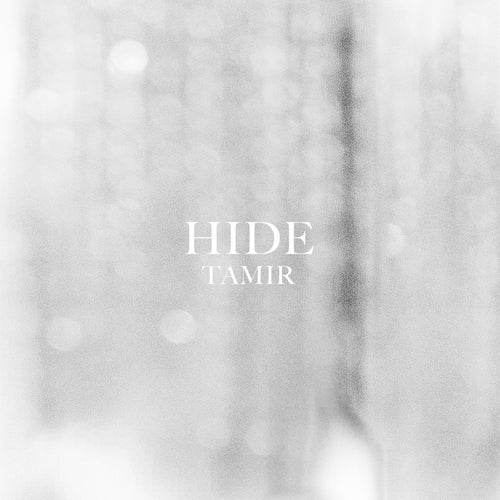 Hide