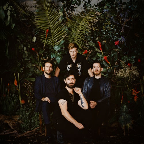 Foals Profile