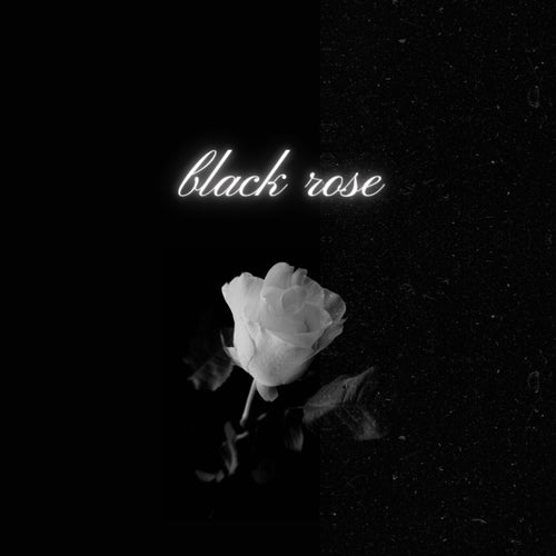 black rose