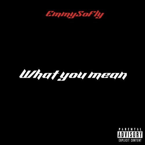 What You Mean