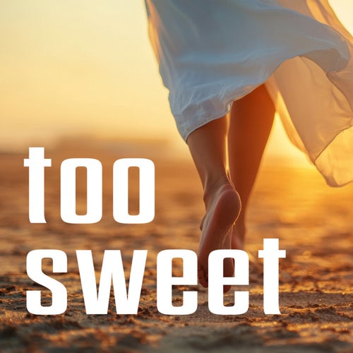 Too Sweet (Lo-Fi Instrumental)