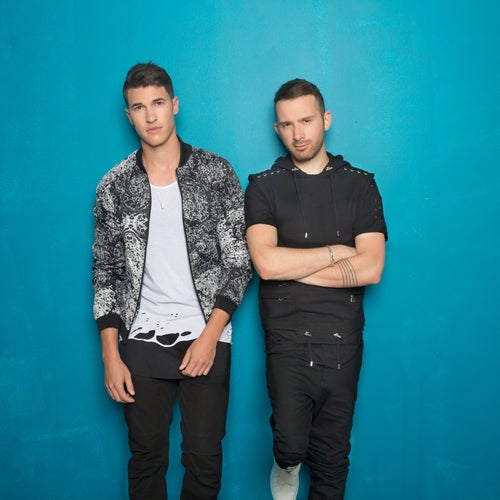 Timeflies Profile