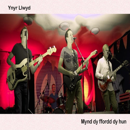 Mynd Dy Ffordd Dy Hun