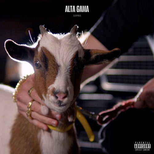 ALTA GAMA