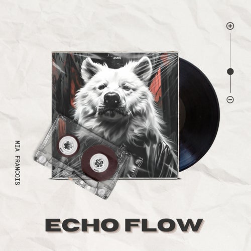 Echo Flow