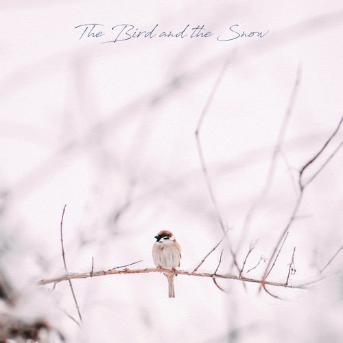 The Bird and the Snow