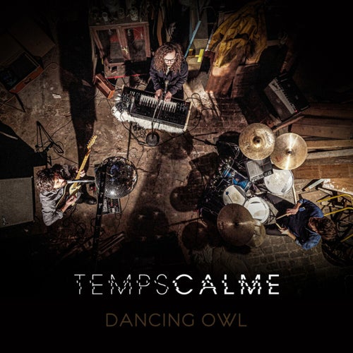 Dancing Owl