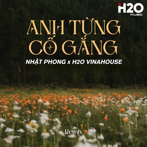 Anh Từng Cố Gắng (Remix)