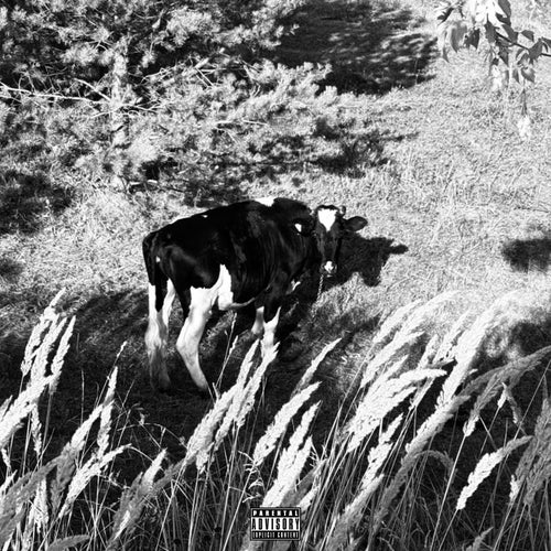 Release of the week