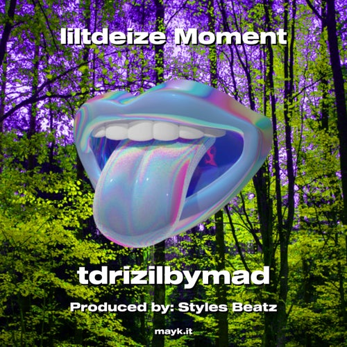 liltdeize Moment