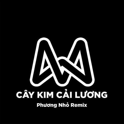 2 IN 1 Cây Kim Cải Lương (Beat)