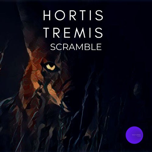 Release of the week