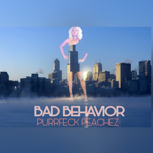 Bad Behavior