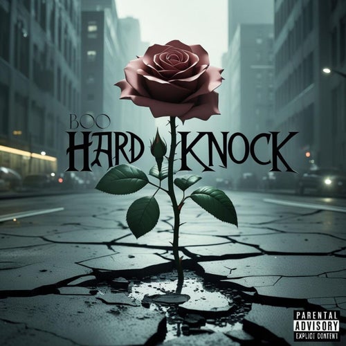 Hard Knock