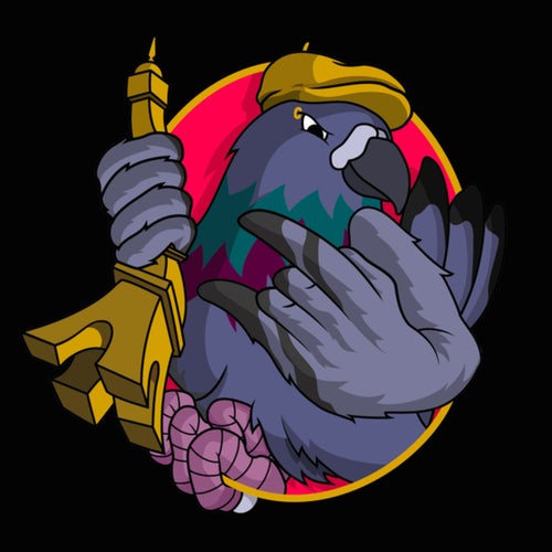 Pigeon