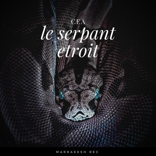 Le serpant etroit