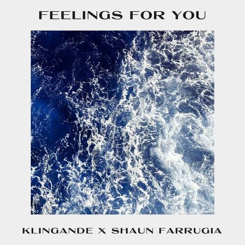 Feelings for You (Extended Mix)