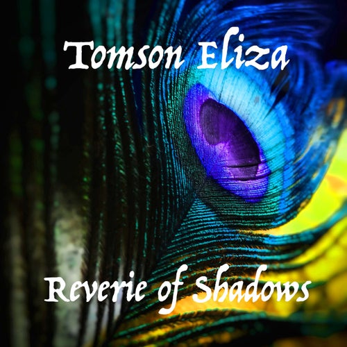 Reverie of Shadows