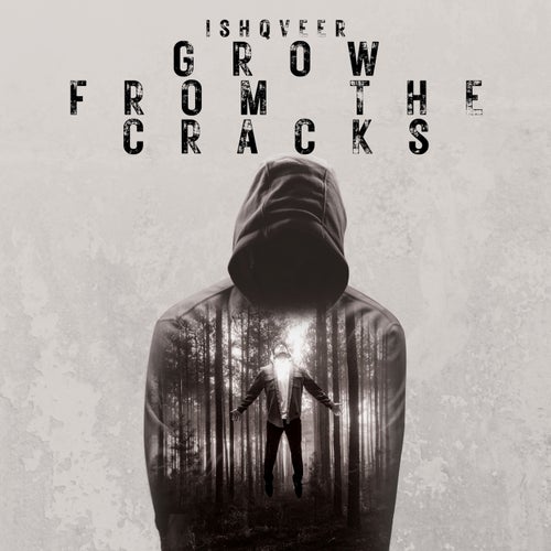 Grow From The Cracks