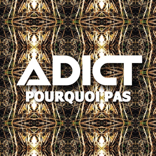 Pourquoi Pas
